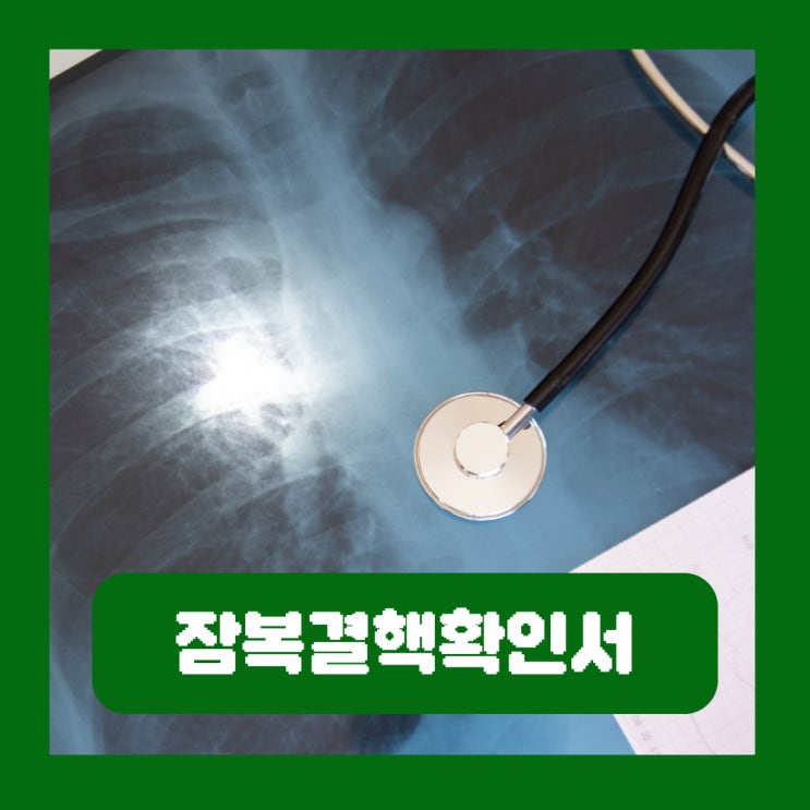  잠복결핵확인서 재발급 보건소 검사 비용 병원 찾는 법