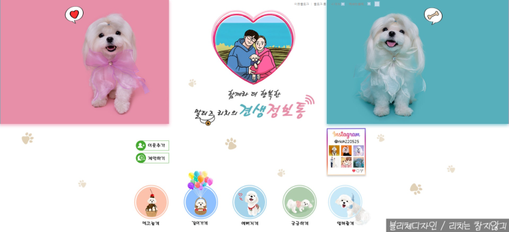  홈페이지형 스킨 맞춤 제작 리치의 블리체디자인 후기