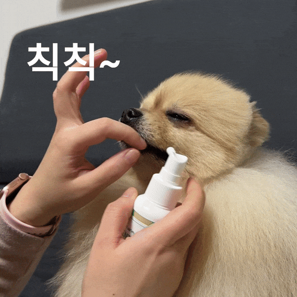  강아지 뿌리는 치약 리스펫 덴탈스프레이 노령견 입냄새 치석제거