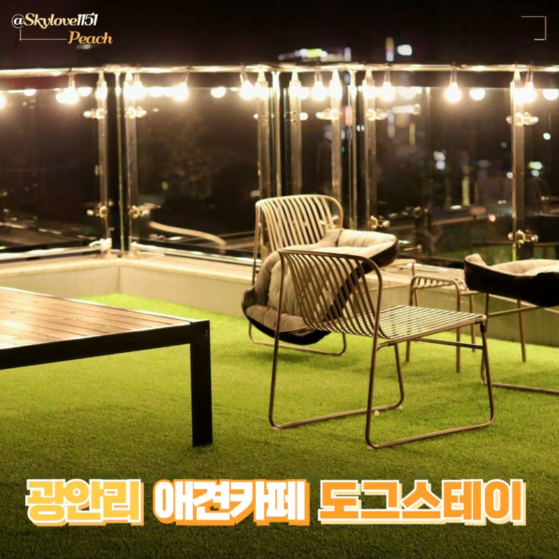 사진 3