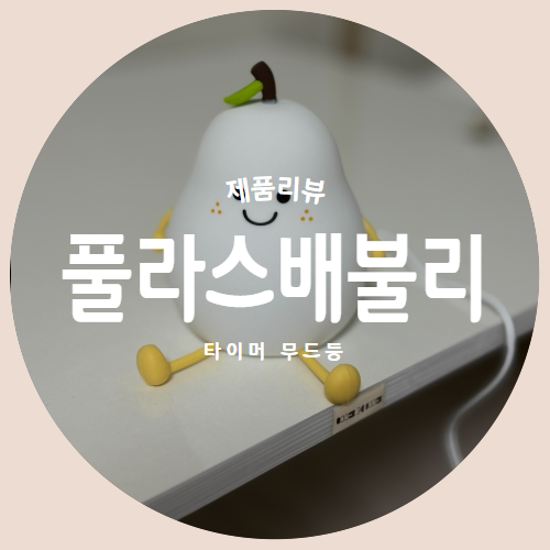  타이머 가능한 "풀라스 배불리" LED 무드등 제품리뷰