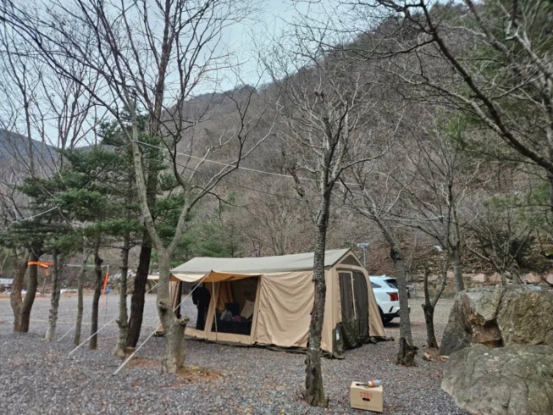 사담관광농원캠핑