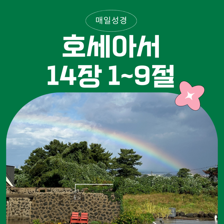 매일성경 12월 3일: 호세아 14장 1절~9절 - 말씀으로 돌아갈 때 주어지는 복된 약속 매일성경 12월 3일: 호세아 14장 1절~9절 - 말씀으로 돌아갈 때 주어지는 복된 약속