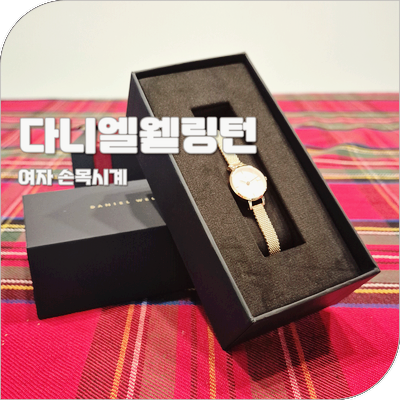 다니엘웰링턴 시계 크리스마스 기념일 선물 여자 손목시계 추천