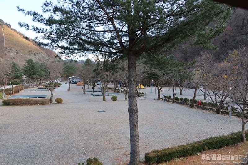 사진 5