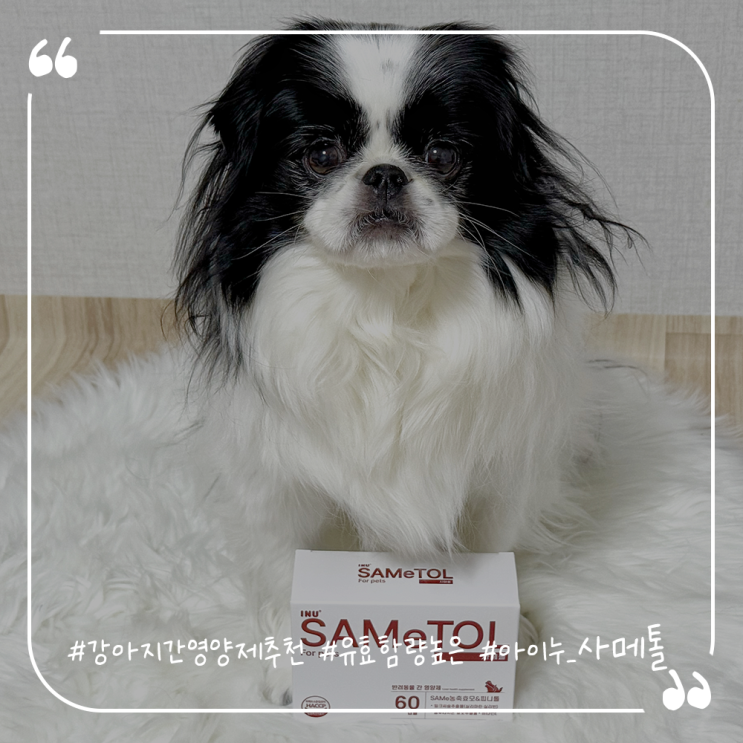  강아지간영양제추천 강아지간건강 유효함량높은 아이누 사메톨