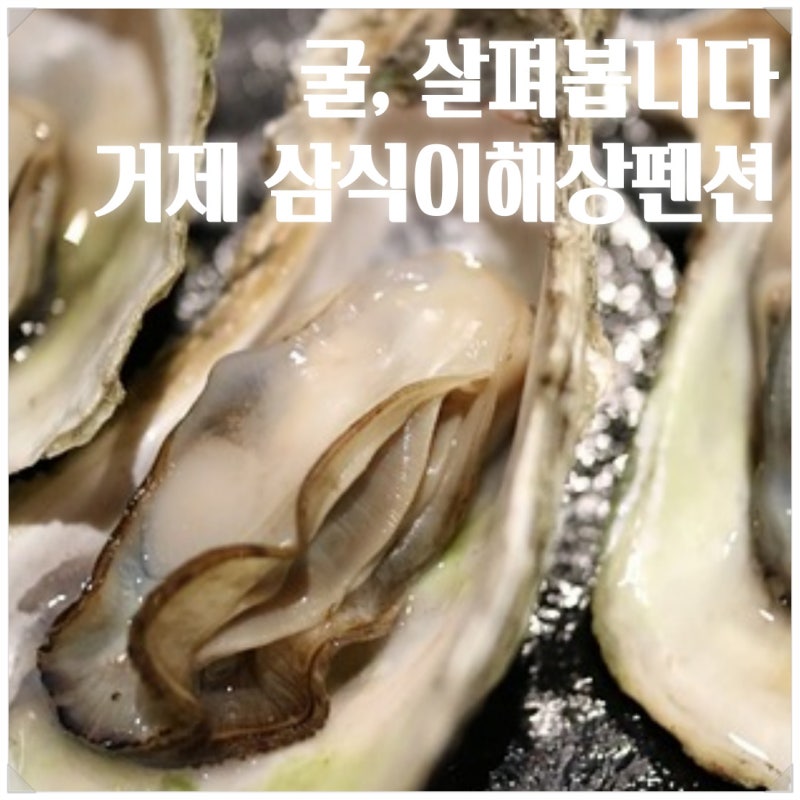 굴, 살펴봅니다