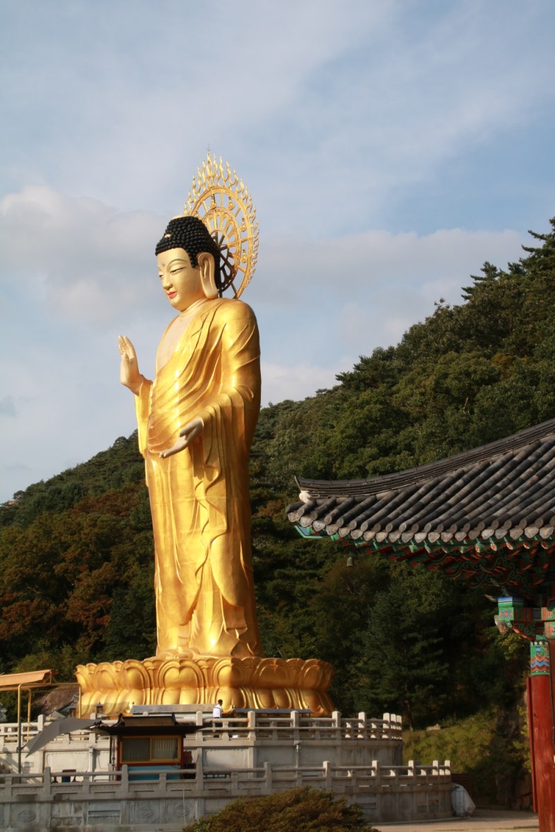 정책지식 2024.12.3. : 네이버 블로그