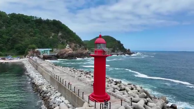  반려견운동지도사 무료 특강 , 반려견운동지도사 쉽고 빠르게 취득한 과정 총 정리