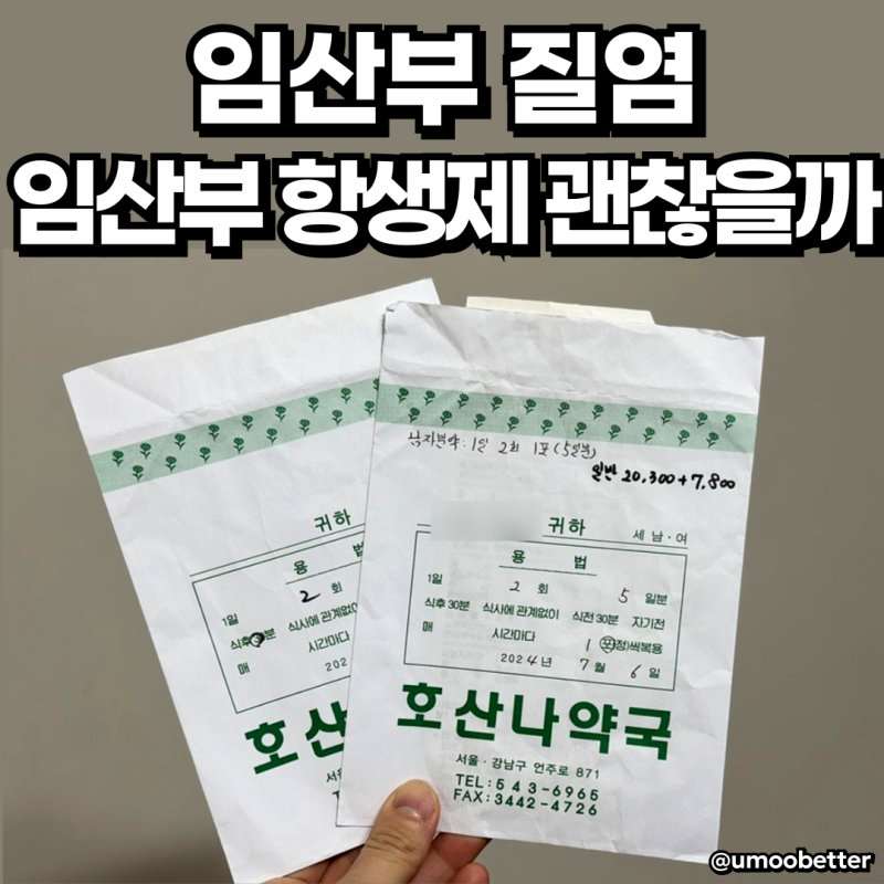 임산부 질염 치료 항생제 처방 유레아플라즈마 파붐 증상