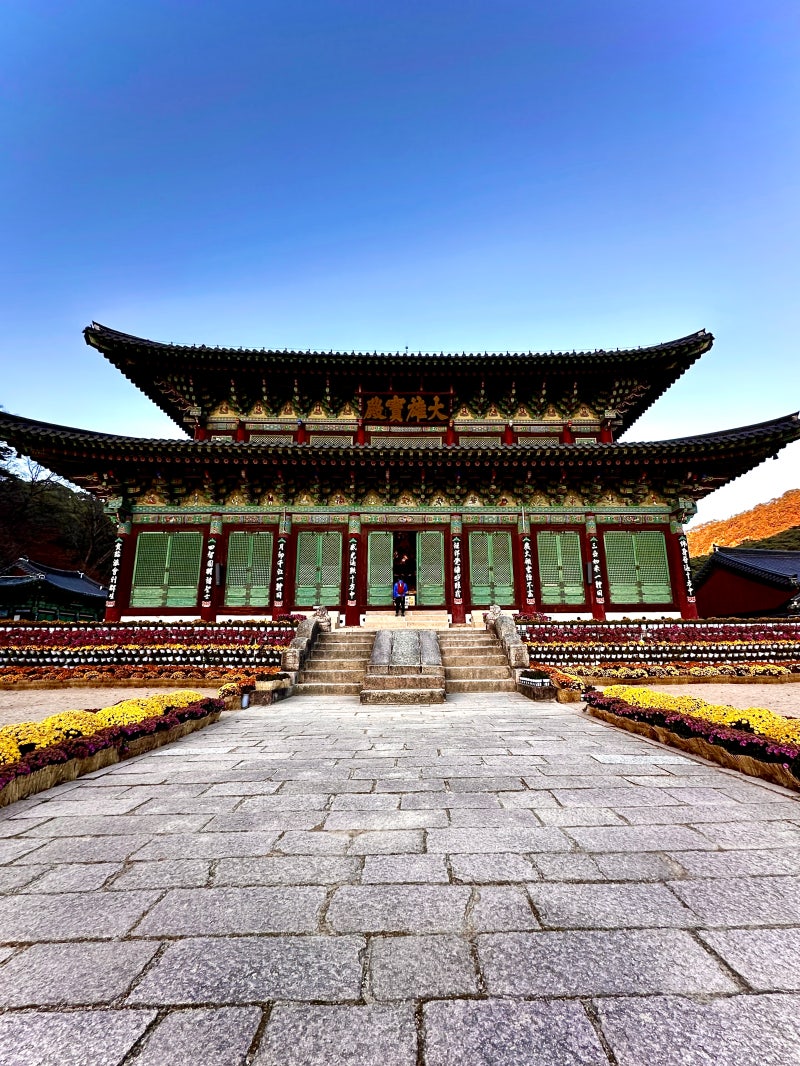 정책지식 2024.12.3. : 네이버 블로그