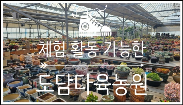  충주 여행 도담다육농원에서의 마음 따뜻했던 다육이 체험