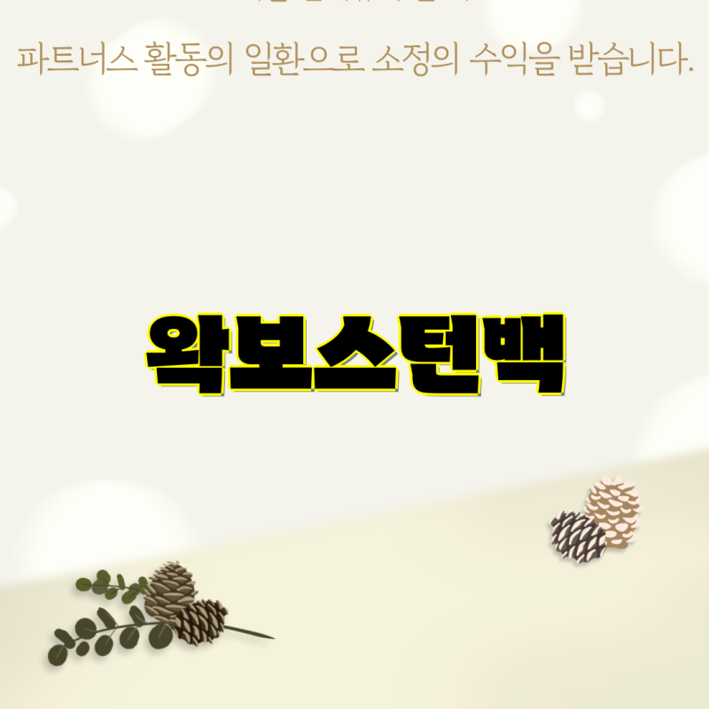 왁보스턴백 베스트 5 제품 비교와 장단점 분석으로 제안하는 스마트한 선택 가이드
