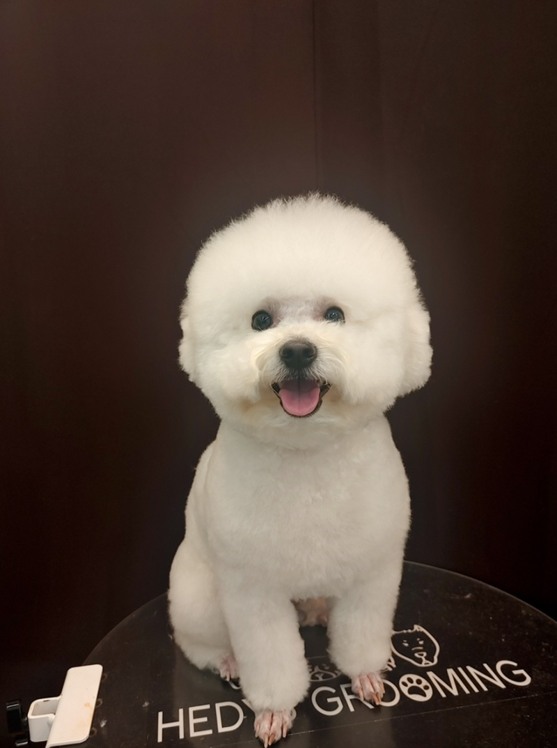 사진 3