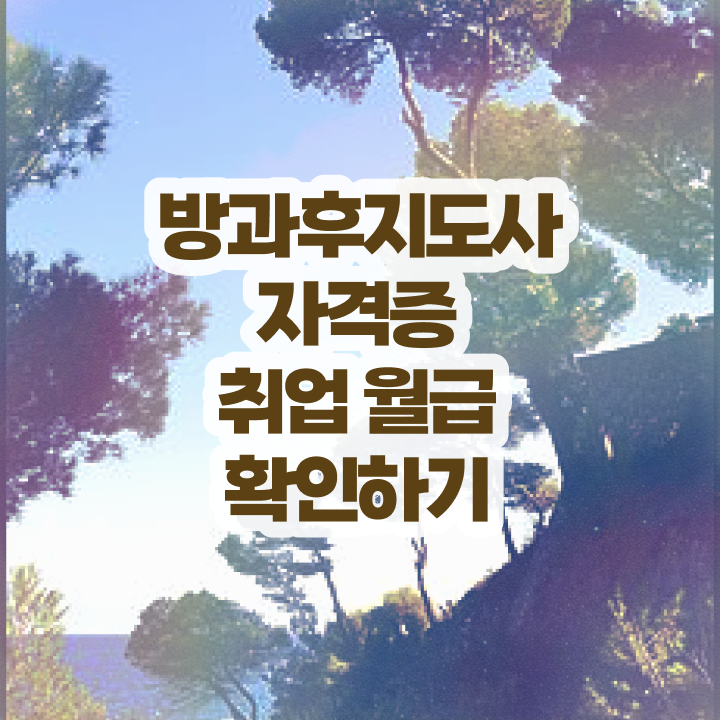  방과후수업강사 , 온라인 교육으로 방과후지도사자격증 취득 정보