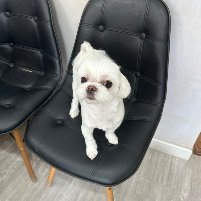 사진 3