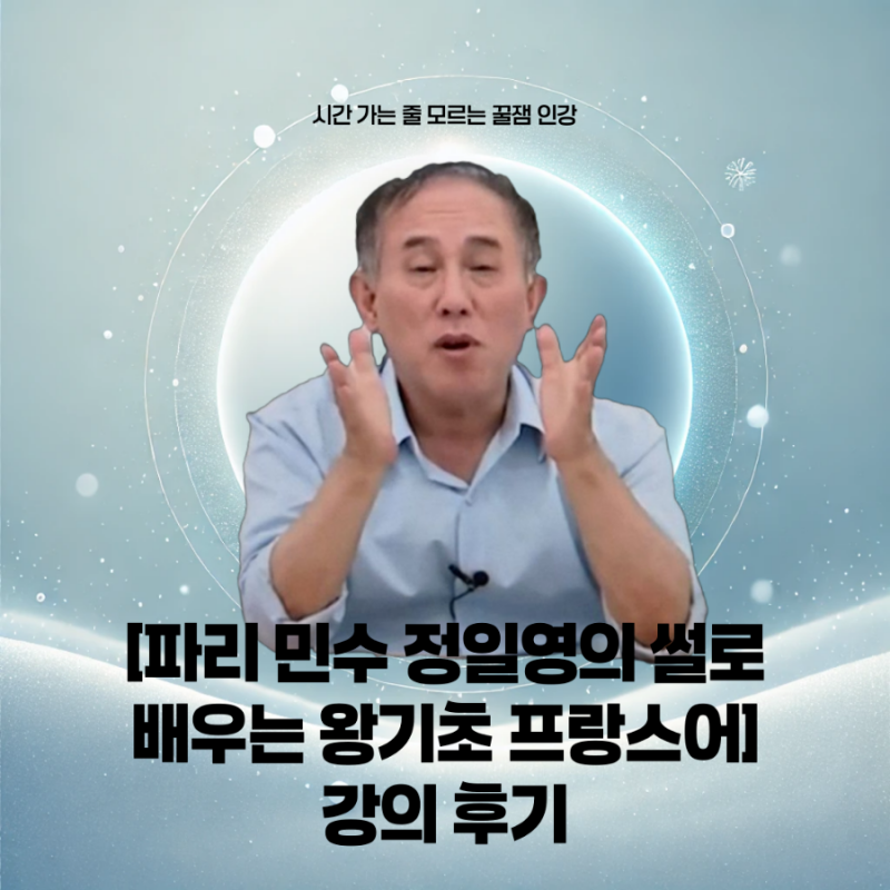 재미와 학습을 동시에! 침착맨 팬이 추천하는 꿀잼 프랑스어인강 DELF까지 잡는 [정일영 교수....