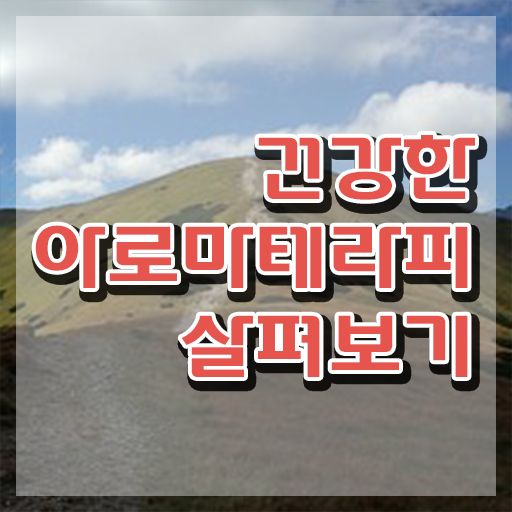  아로마뷰티diy지도사 연봉 , 아로마뷰티DIY지도사 자격증 1급,2급 동시에 합격한 후기 , 취업