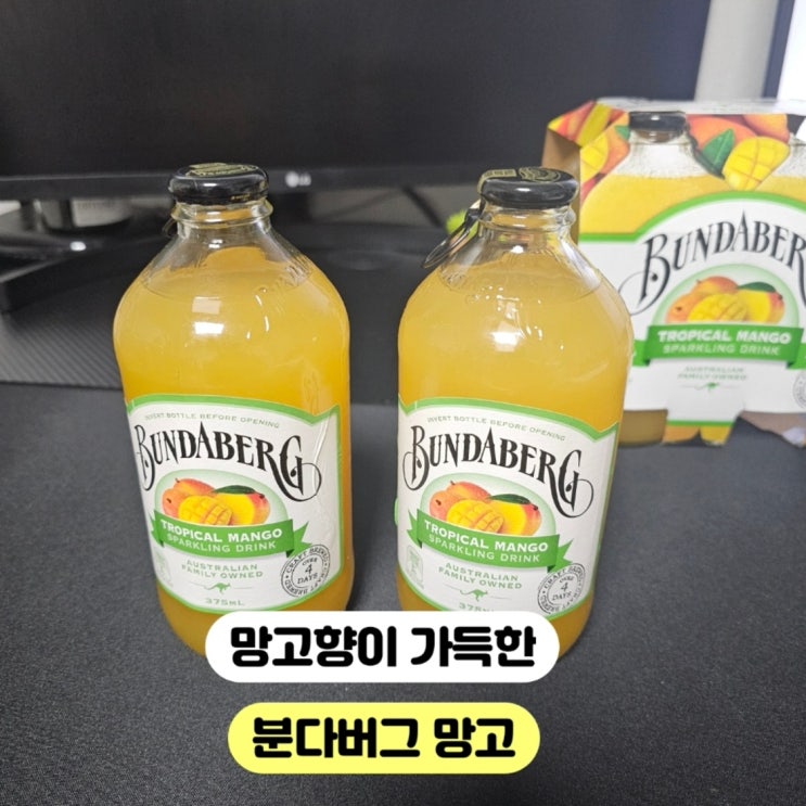 분다버그 트로피칼 망고 후기 분다버그 트로피칼 망고 후기