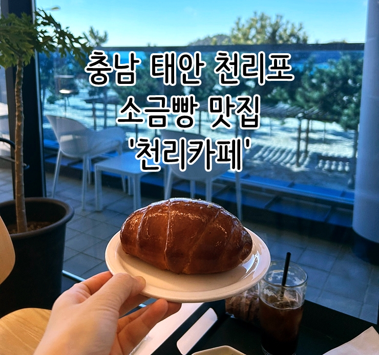  충남 태안 천리포 소금빵 맛집 '천리카페' & 닭섬 산책