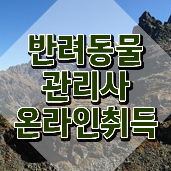  반려동물종합관리사 , 반려동물관리사 자격증 쉽고 간편하게 학습한 후기 및 향후 전망