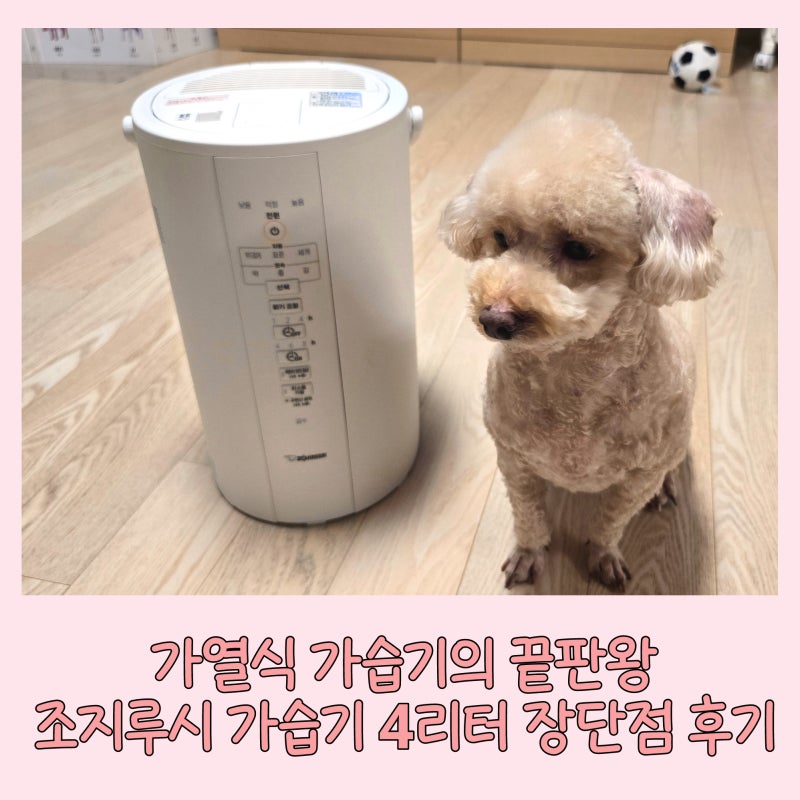 가열식 가습기 조지루시 4l 1년 사용 장점 및 단점 솔직 사용 후기