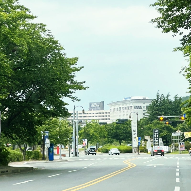 사진 2