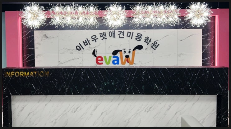  일산 애견미용학원 교육 소개하며 느낀점 4가지