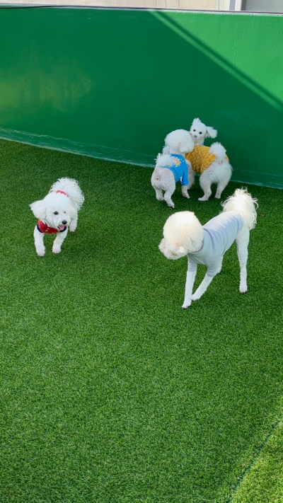 사진 9