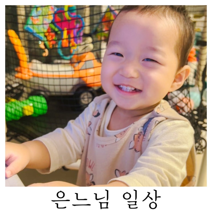  [은느님 일상]표정부자 구찌헌