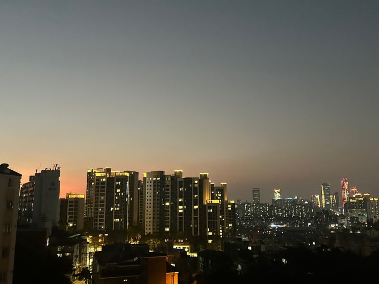  서울 아파트 가격 양극화 역대 최고...강남 아파트 1채로 하위 5.5채 구입"