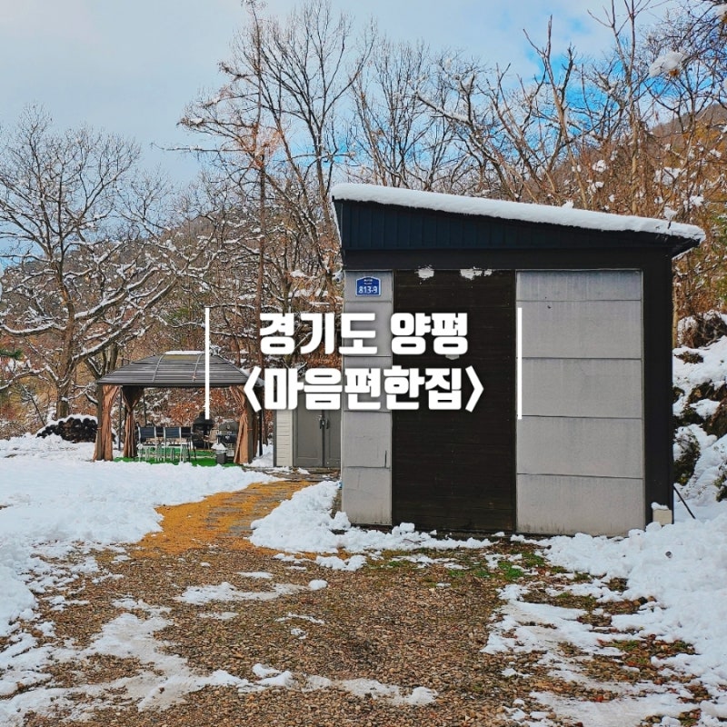 사진 4