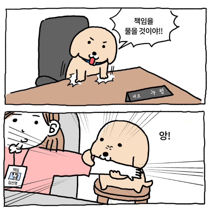  [241202,3,5] 주짓수 269,70,72회(대회준비이모저모, 버터플라이)