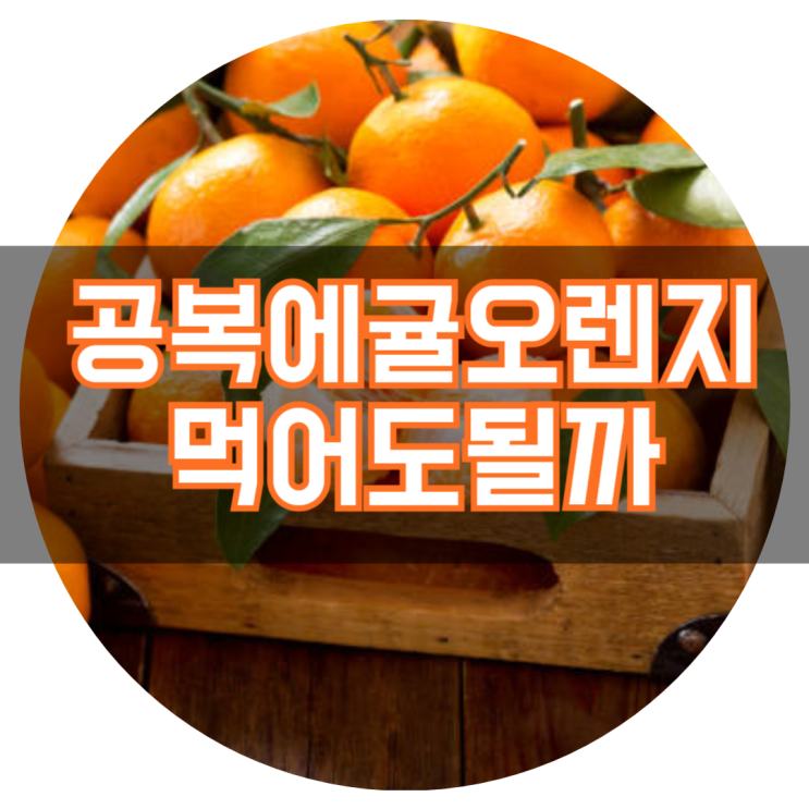  빈속에 귤 공복에 귤 먹어도 괜찮을까