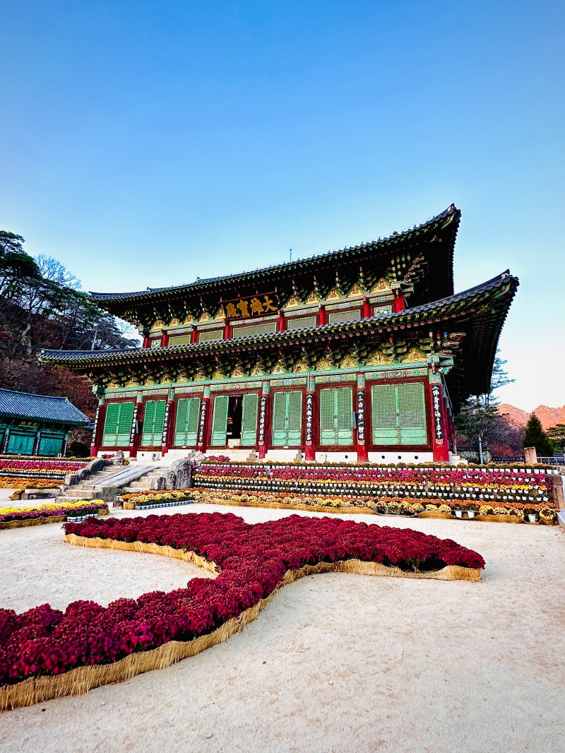 정책지식 2024.12.3. : 네이버 블로그