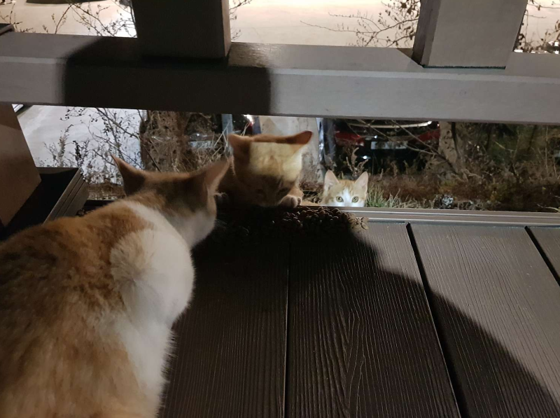 몰리스펫샵 해운대점