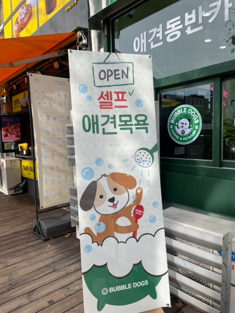 사진 3