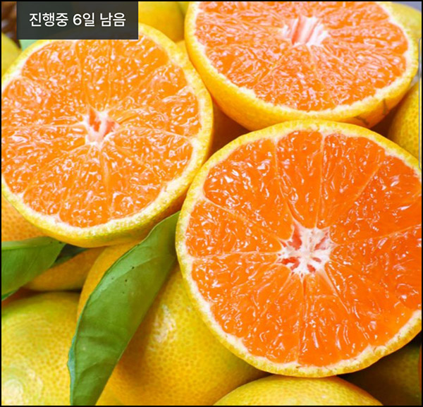 (종료) 지그재그 팀구매 제주감귤 4.5kg 100원(무배)신규 및 휴면 (종료) 지그재그 팀구매 제주감귤 4.5kg 100원(무배)신규 및 휴면
