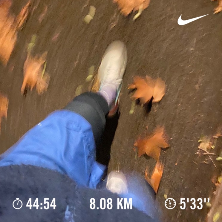  러닝로그_241202 12월 첫러닝 8km