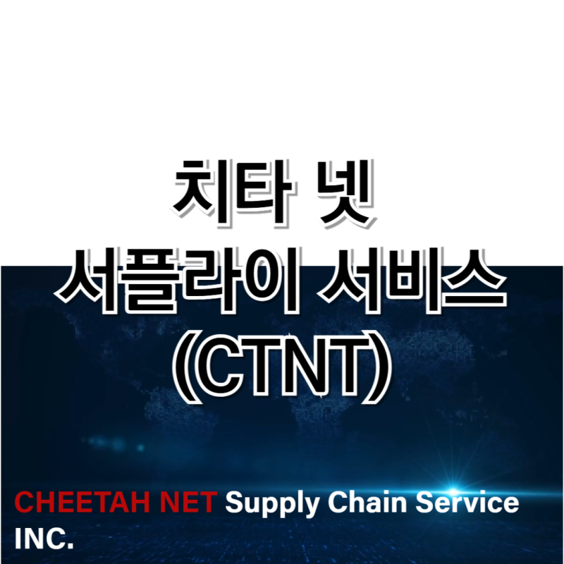 치타 넷 서플라이 체인 서비스(CTNT): 병행 수입 차량 시장의 신흥 강자