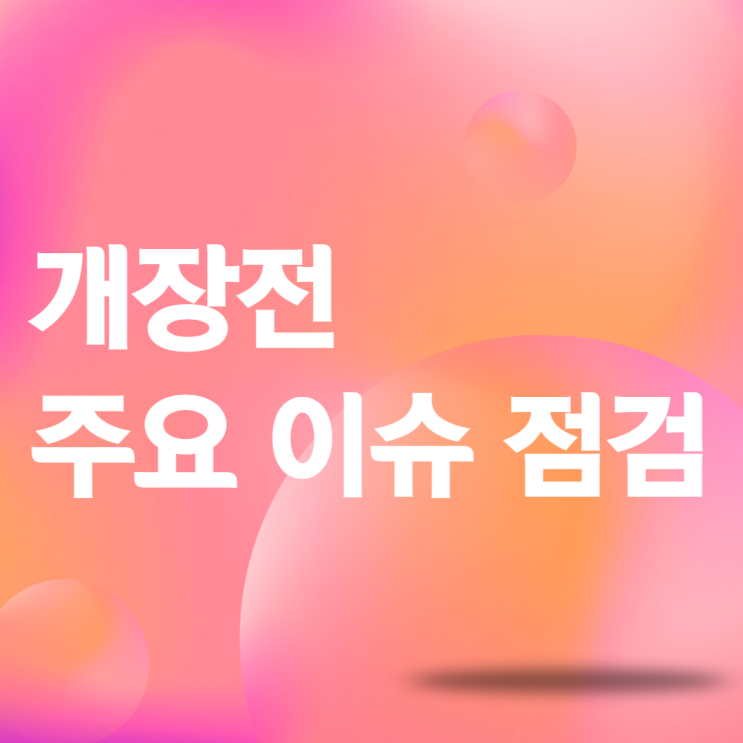 개장전 주요이슈 점검 (20241203)