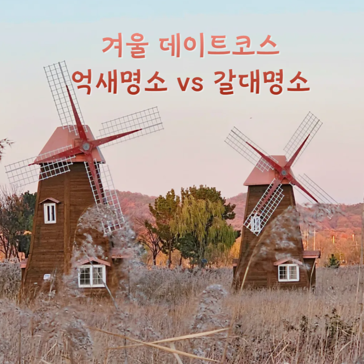 겨울데이트코스 인천명소 소래습지생태공원 갈대 vs 하늘정원 억새 겨울데이트코스 인천명소 소래습지생태공원 갈대 vs 하늘정원 억새