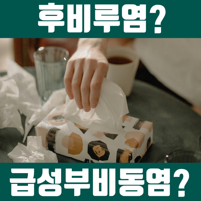 급성부비동염 후비루염과 달라요