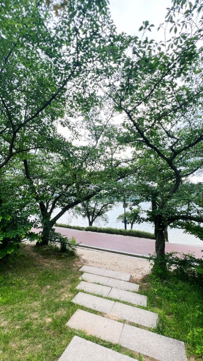 사진 3