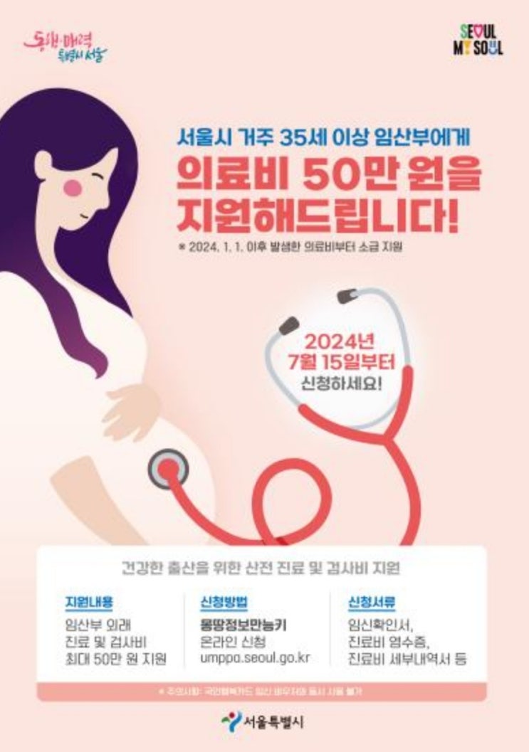  서울시 35세 이상 임산부 혜택  의료비 지원(몽땅정보만능키)