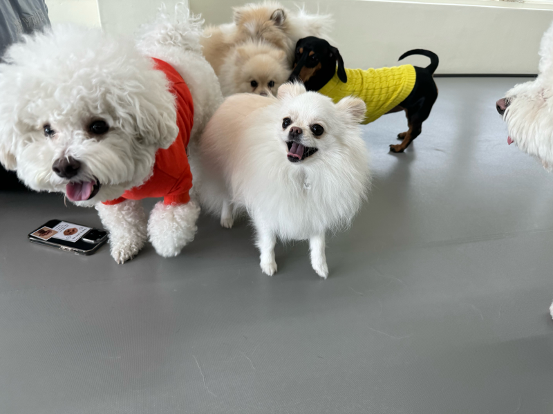 사진 5