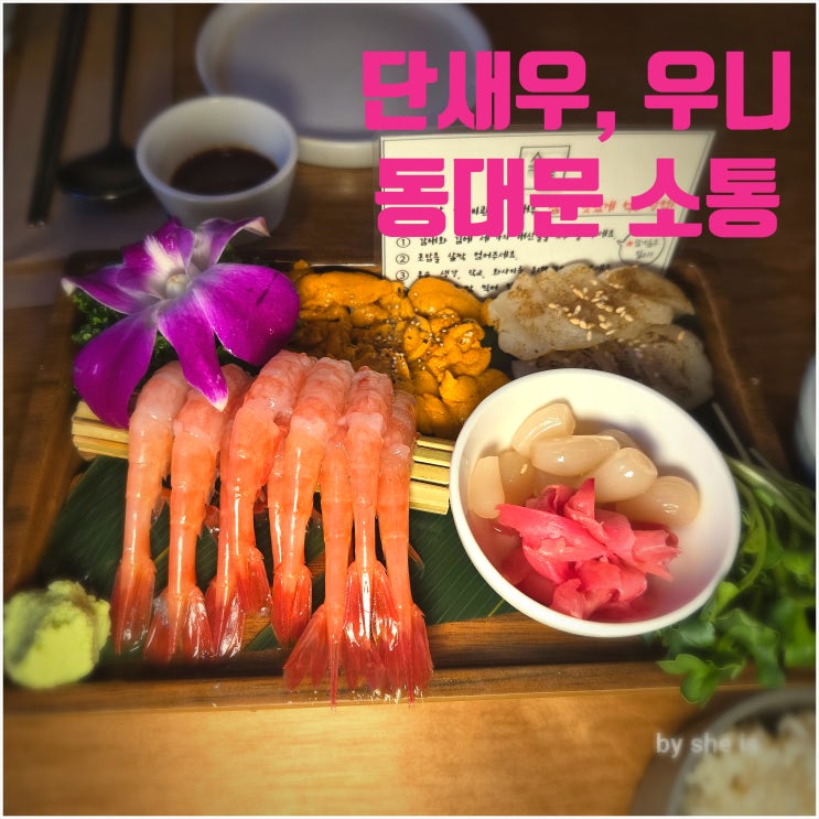  장안동 맛집 소통 요리주점 단새우 우니 조용한 장한평역 술집
