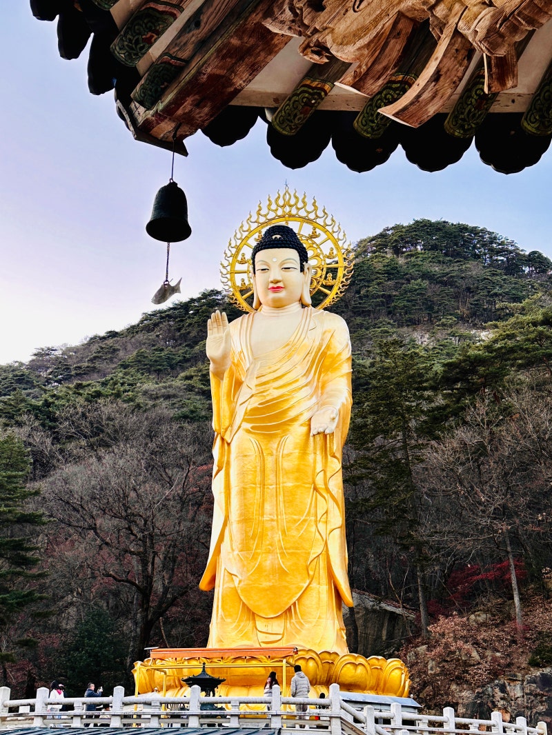 정책지식 2024.12.3. : 네이버 블로그