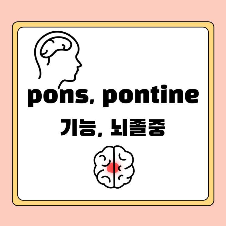  pons, pontine 뇌교 기능, 뇌졸중 증상