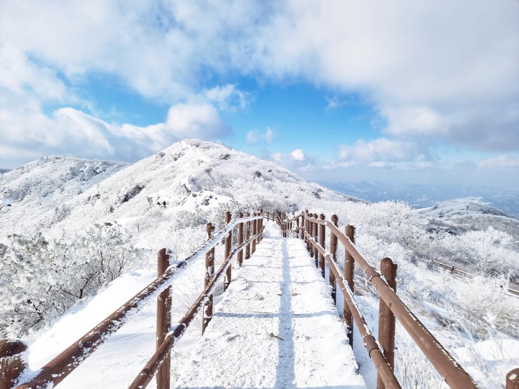  한동안 미쳐서 다녔던 등산 풍경 사진들 ️. Part 7 _ 소백산